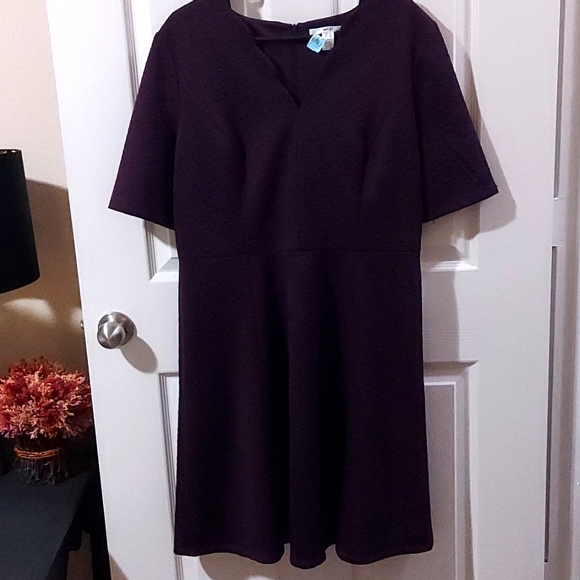 Beautiful NWT Size 14 STITCHFIX dress - Picture 14 of 16